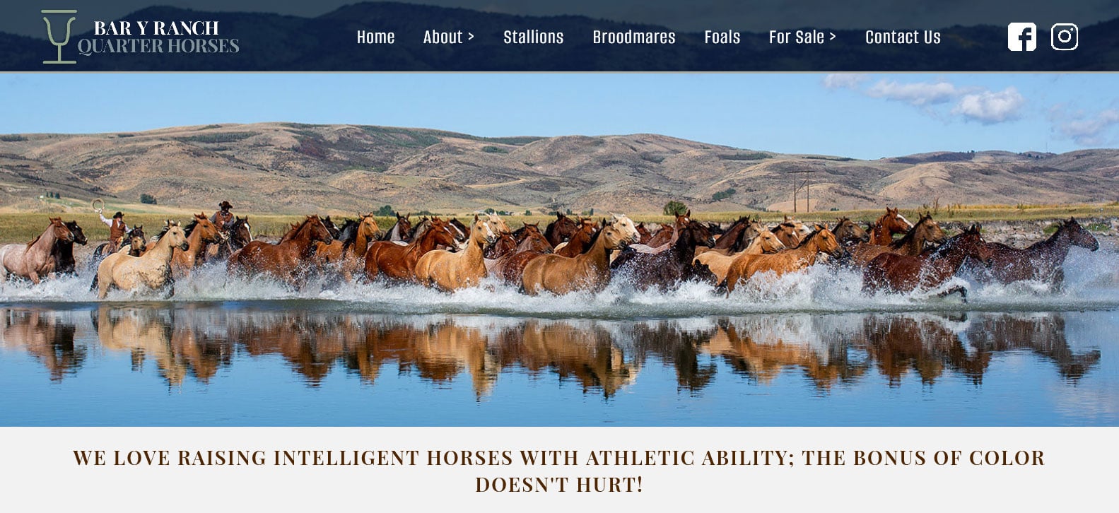 baryquarterhorses.com logo